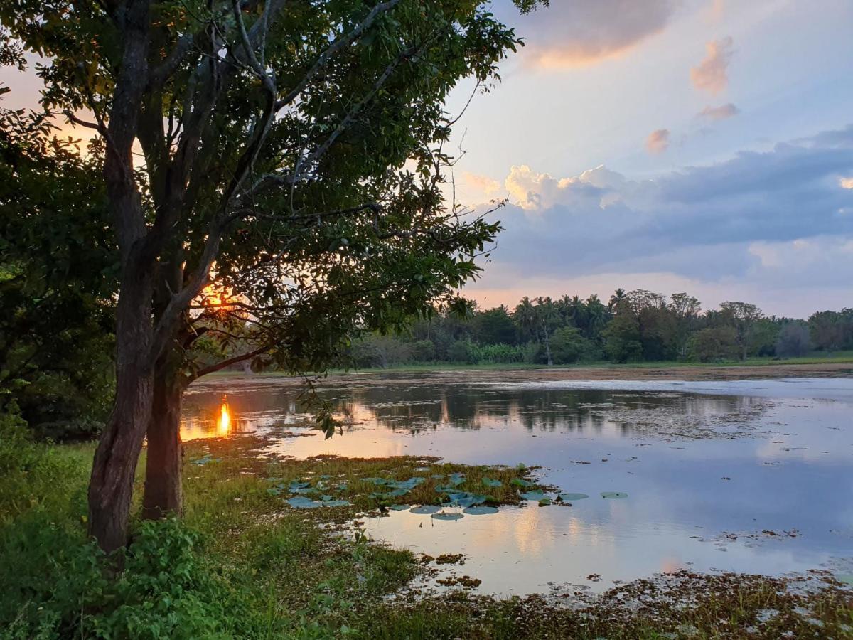 Ama Eco Lodge Сигирия Экстерьер фото