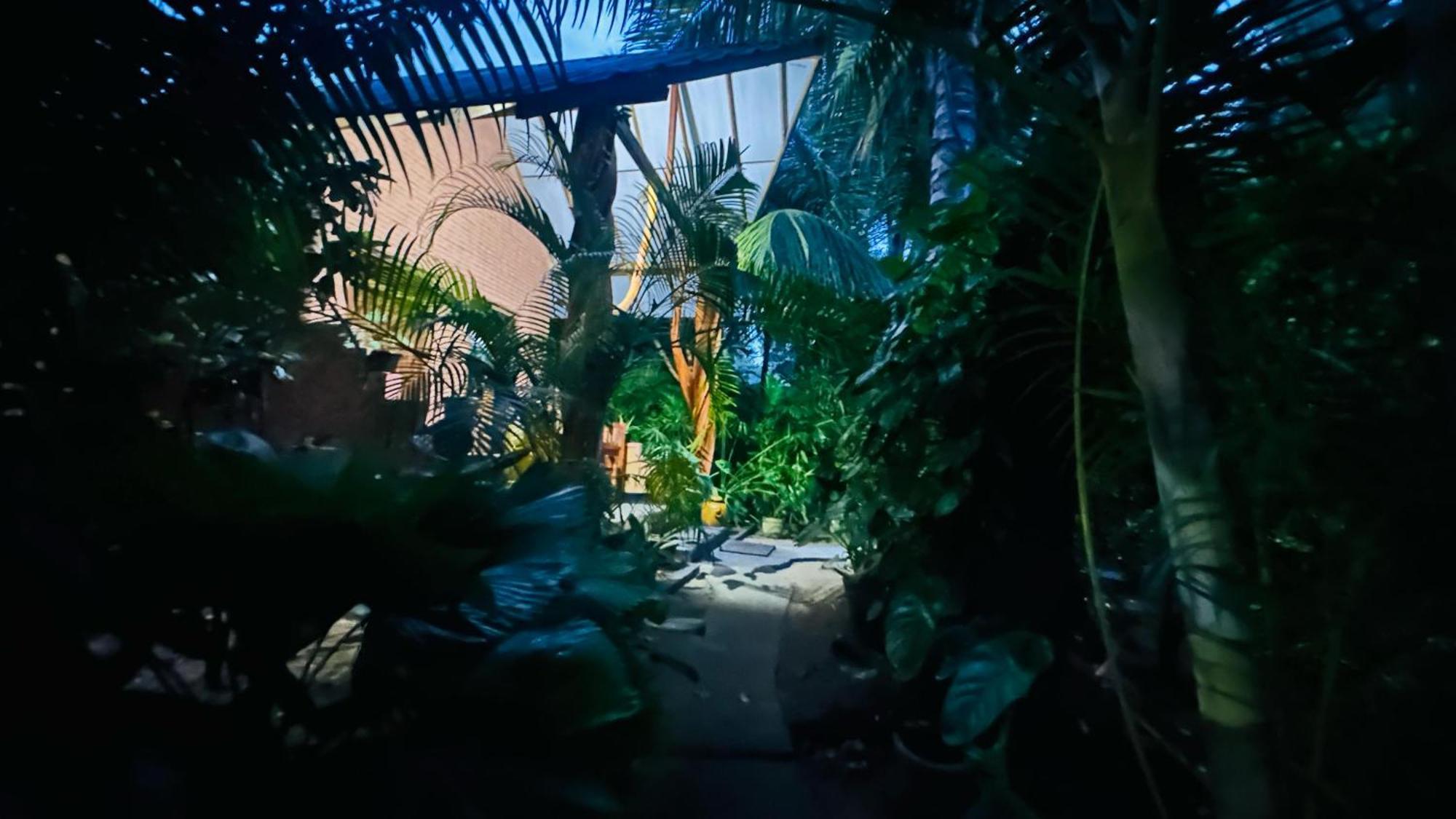 Ama Eco Lodge Сигирия Экстерьер фото